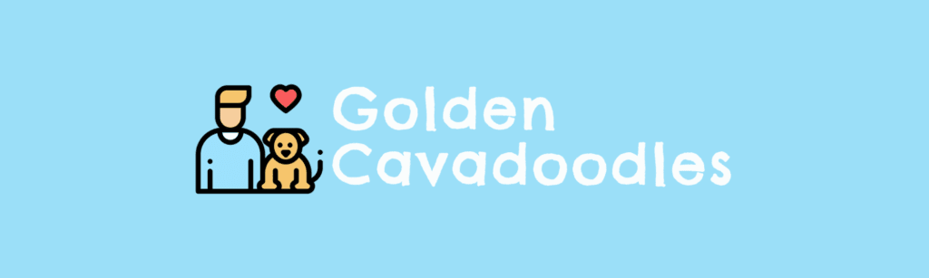 Golden Cavadoodles