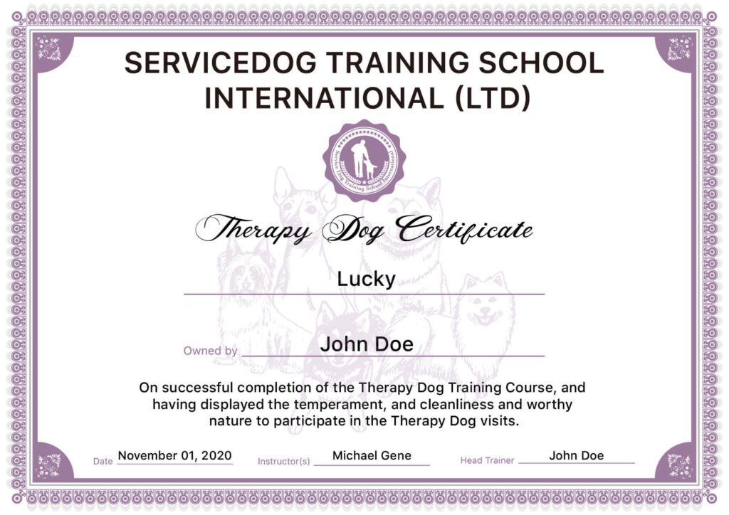 Therapy dog certificate