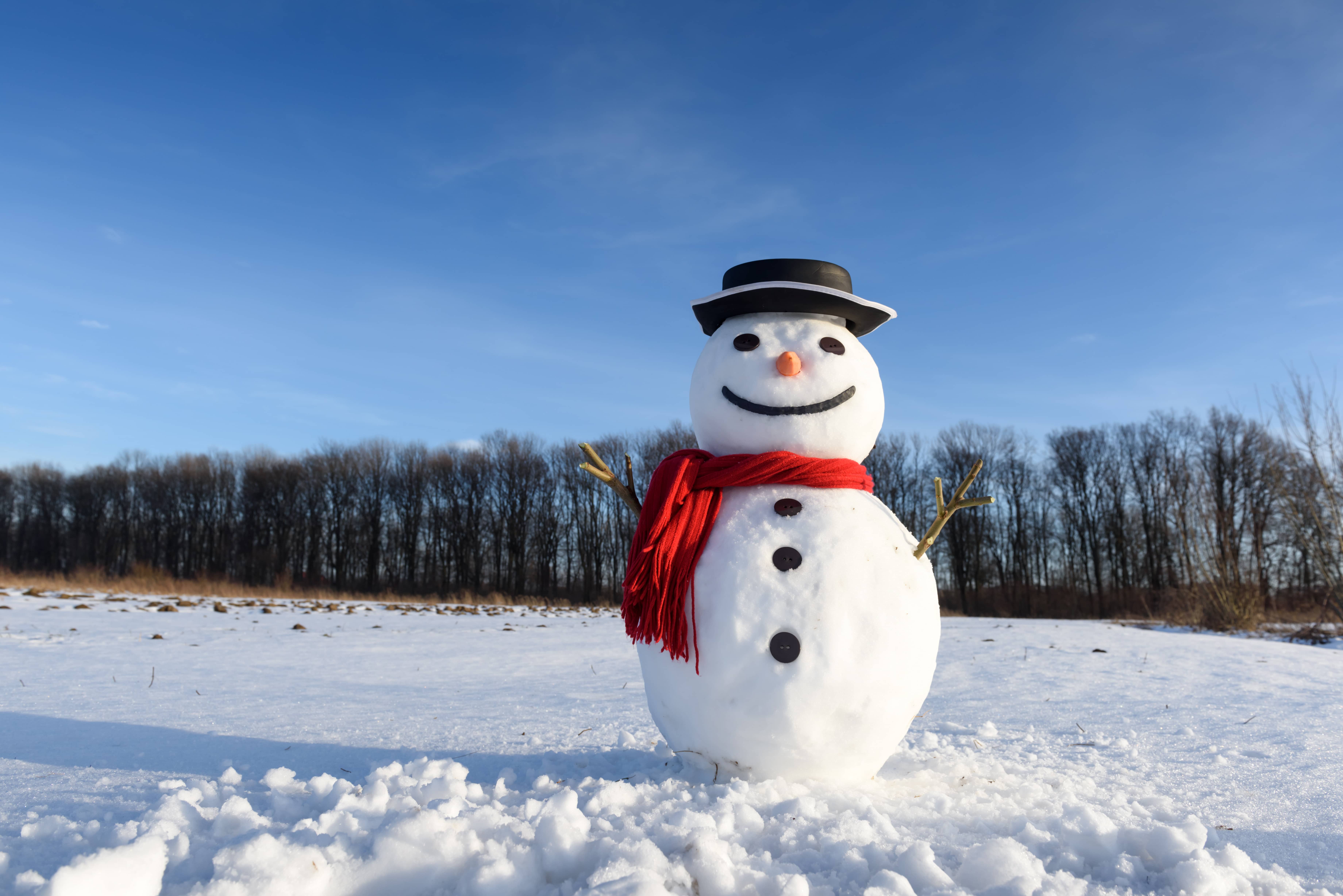 Frosty Snowman Winter Preparation