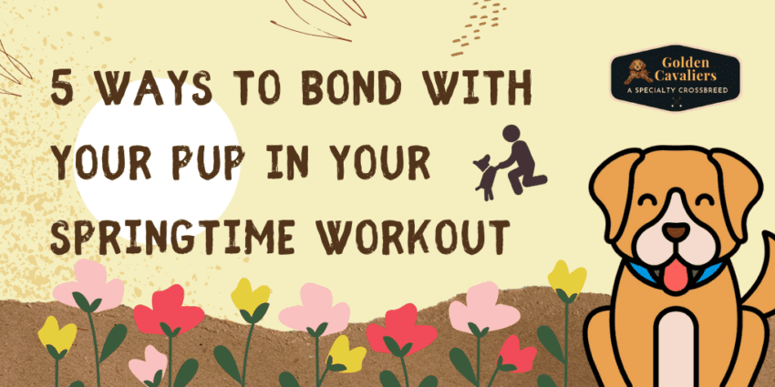 5 Ways to Bond with Your Pup in Your Springtime Workout