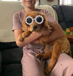Picture of Austin